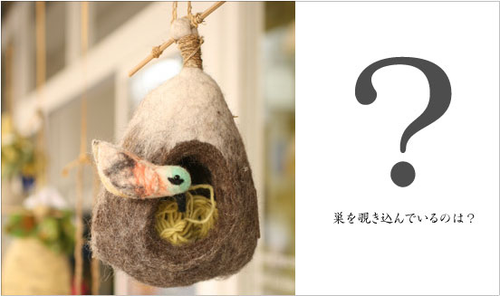 何入れる？felt bird house!_b0147133_16383881.jpg