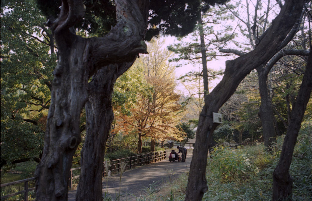  三ツ池公園でパチリ 3_b0158237_20573871.jpg