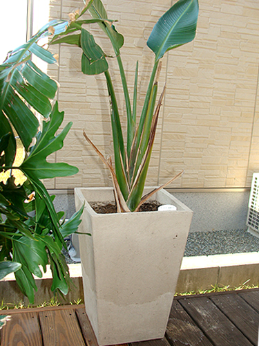 e0142838_11201433.jpg
