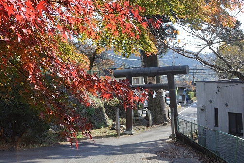 a0048040_21485957.jpg