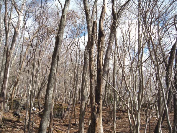 c0047341_21285181.jpg