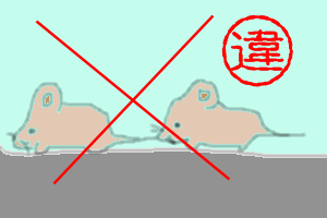 d0039443_10155019.gif