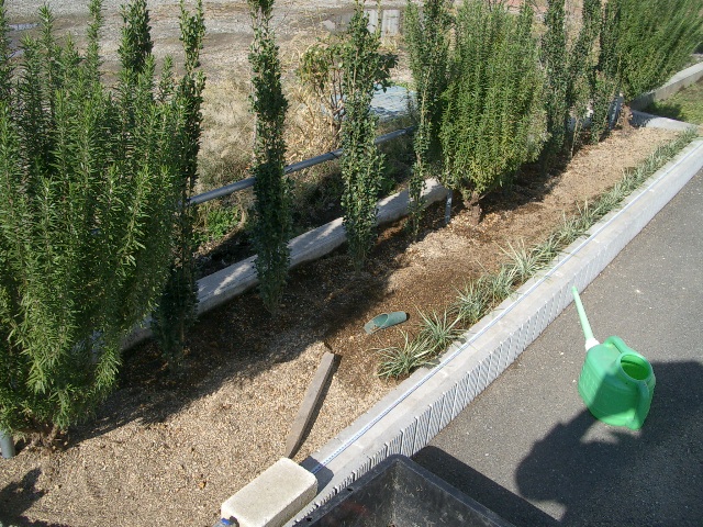 交渉成立(とりあえず完成)_a0155844_1732355.jpg