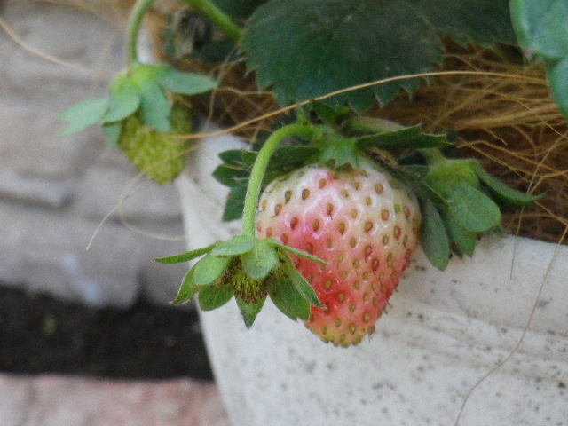 b0239151_918657.jpg