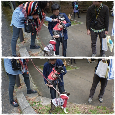 再度公園、今年の紅葉は・・・・_d0155952_19144987.jpg