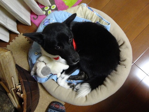 f0046854_23153530.jpg