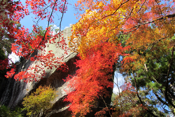 笠置山（288m）11月22日_f0007956_22533064.jpg