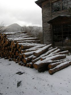 f0035962_11321729.jpg