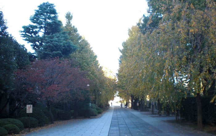 a0053063_23325058.jpg