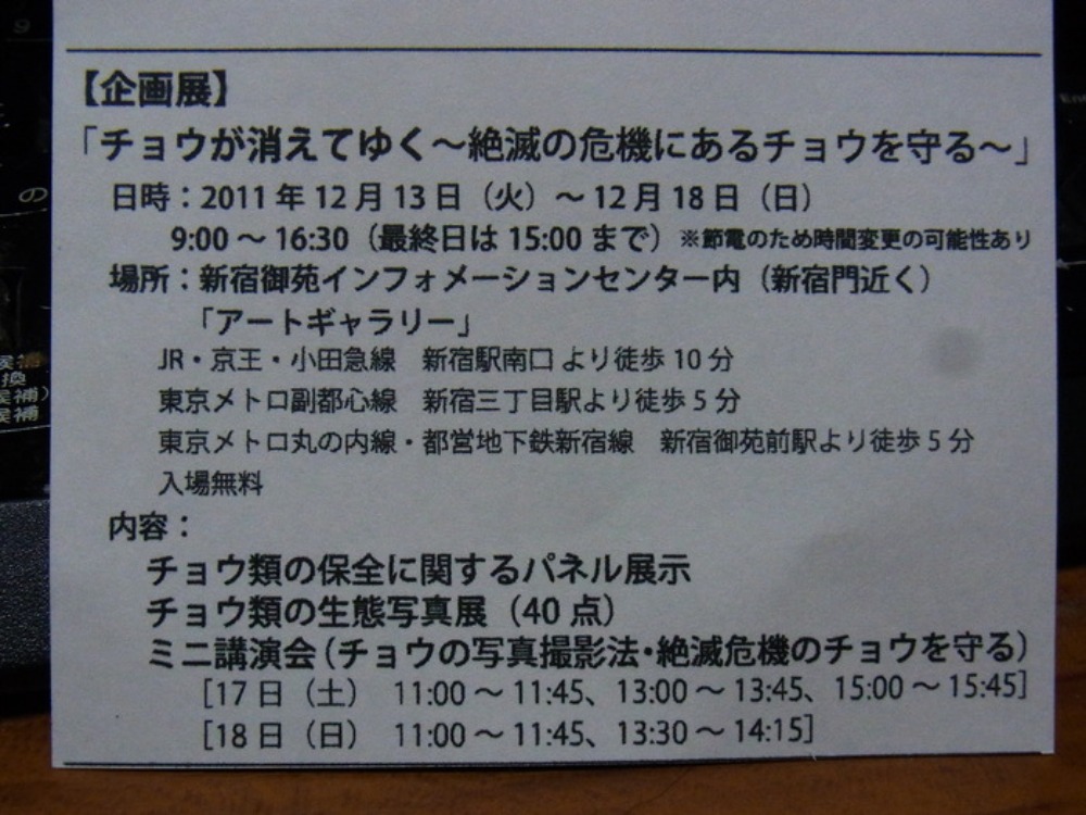 丸の内さえずり館セミナー「小笠原の昆虫とその保護」に行ってきました。_a0146869_6511320.jpg