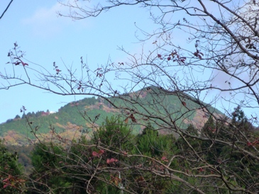 a0219573_22213924.jpg