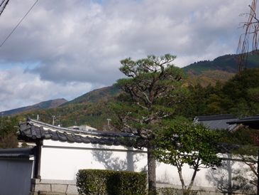 a0219573_2222936.jpg