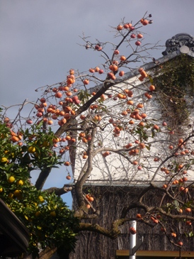 a0219573_22344395.jpg