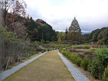 a0219573_22534017.jpg