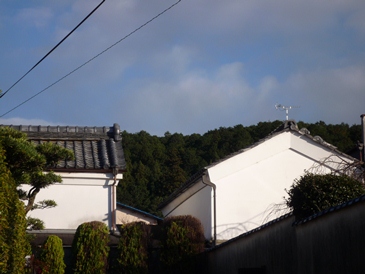 a0219573_2303684.jpg