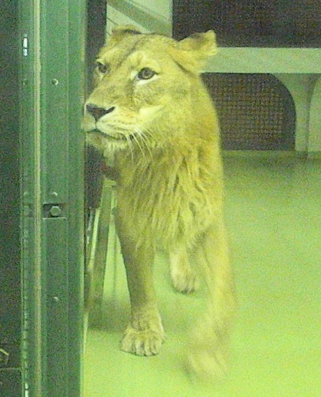 b0014576_713164.jpg