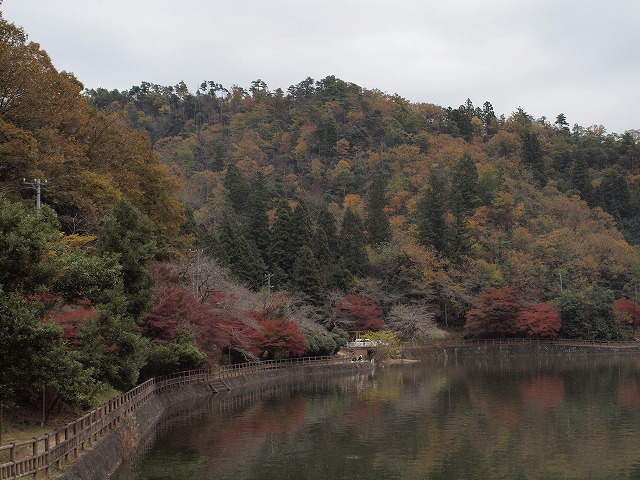 伊自良湖風景 景色と鳥と釣人達 自然風の自然風だより