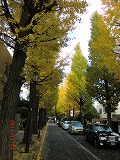 a0185783_125559100.jpg