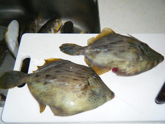 c0176183_20253534.jpg