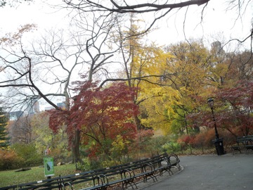 e0183383_10411578.jpg