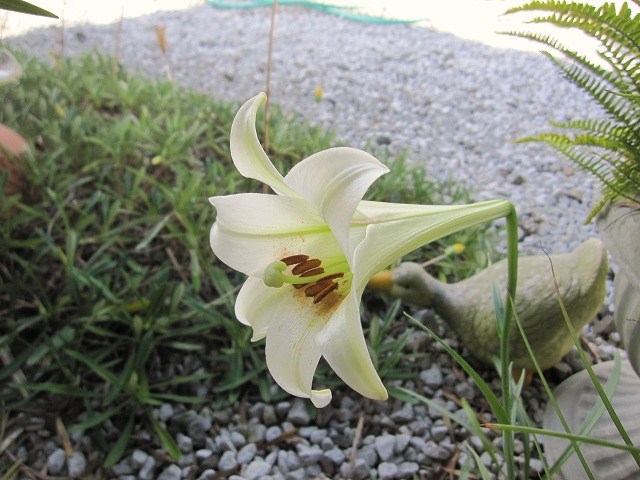 b0182884_0482677.jpg