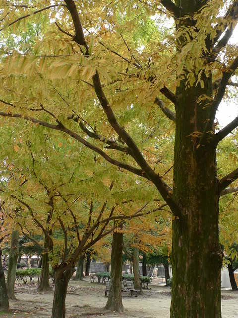 f0203788_20121244.jpg