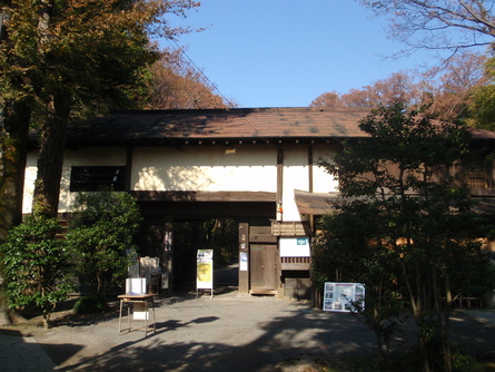 d0034291_8162011.jpg