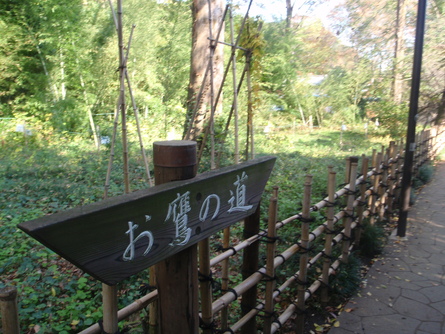 d0034291_8201516.jpg