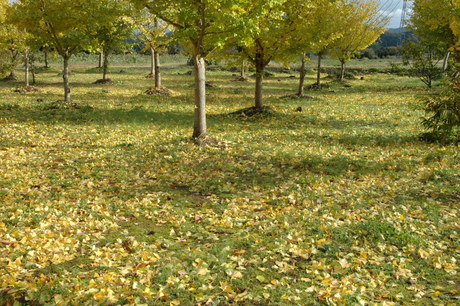 d0234293_003877.jpg
