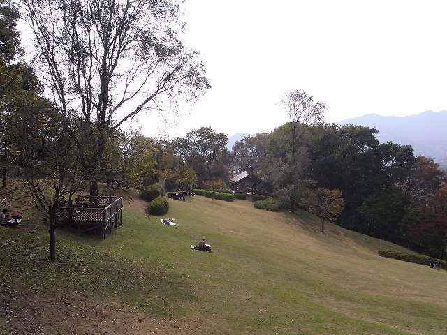 d0102497_21233827.jpg