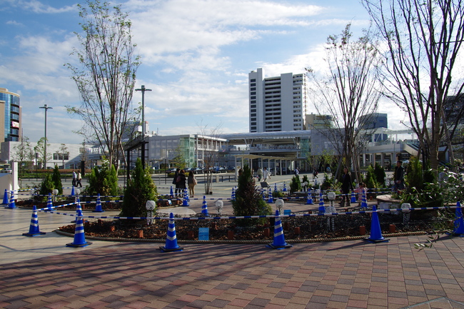 c0158398_221154.jpg