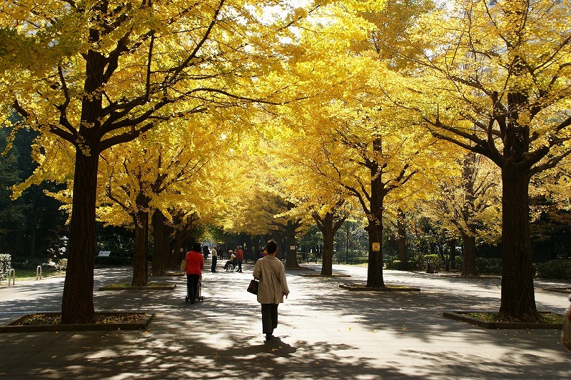 練馬区光が丘公園_e0157999_23433264.jpg