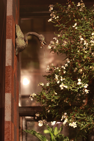 f0175799_2351210.gif