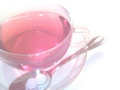 c0074000_2322334.jpg