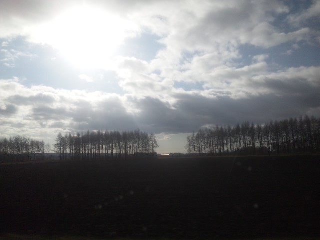 b0127002_219547.jpg
