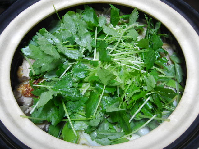 e0028505_445449.jpg