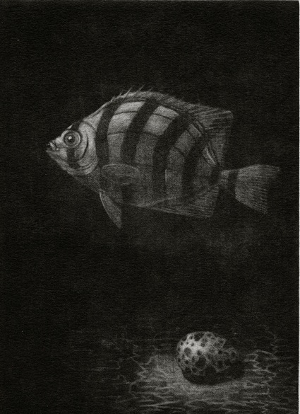 メゾチント「Opening Mantle」 銅版画 メゾチント「Opening Mantle」 銅版画 - メルカリ