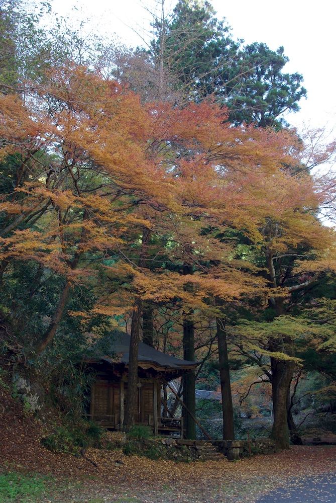 蓬莱山神社_f0138807_23525775.jpg