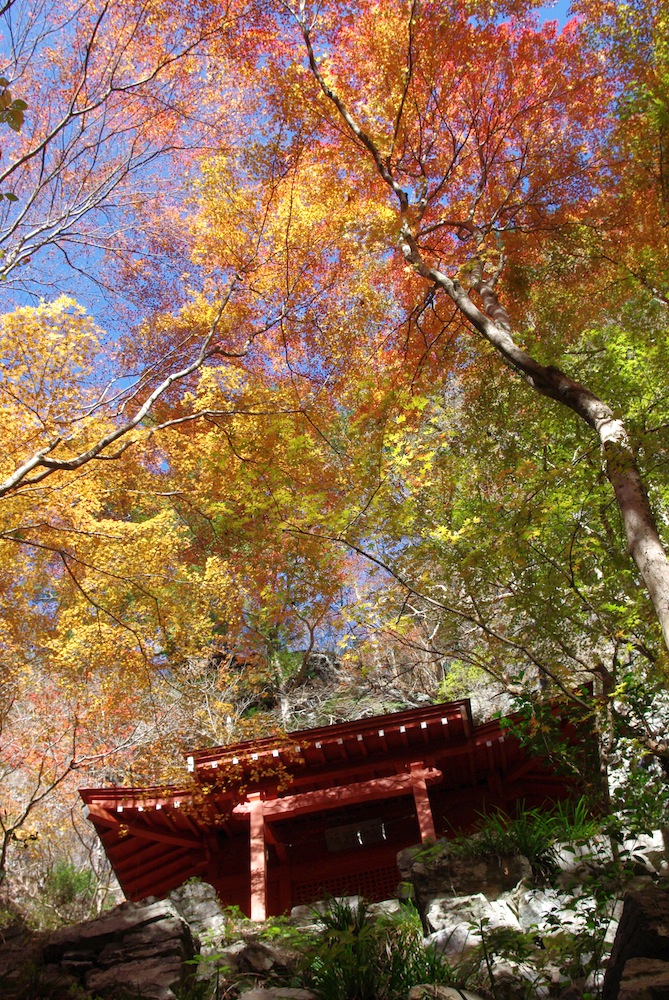 蓬莱山神社_f0138807_23531265.jpg