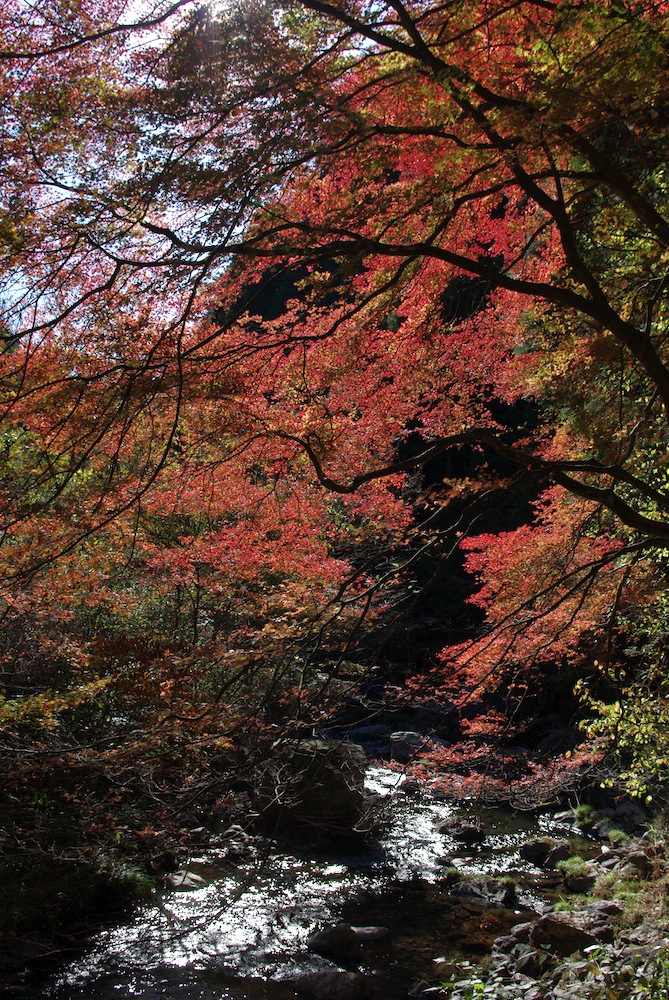 蓬莱山神社_f0138807_23533126.jpg