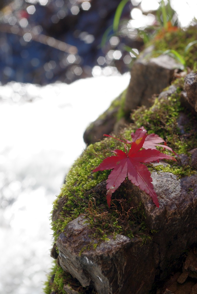 蓬莱山神社_f0138807_23535667.jpg
