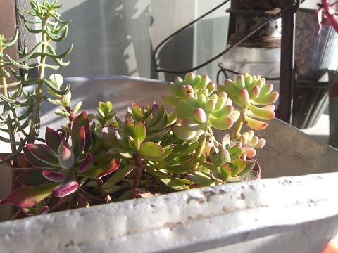 a0240108_12492087.jpg