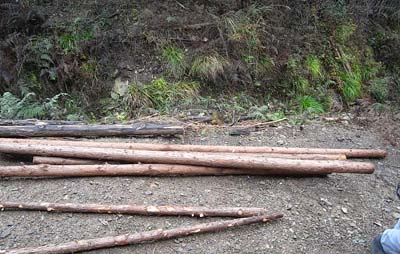 e0032609_2038923.jpg