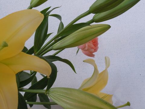 b0209810_111625.jpg
