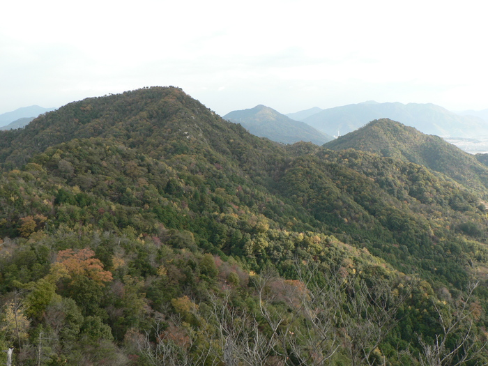 f0219710_816599.jpg