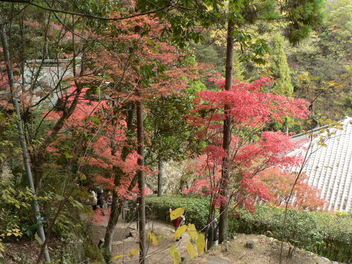 f0219710_823323.jpg