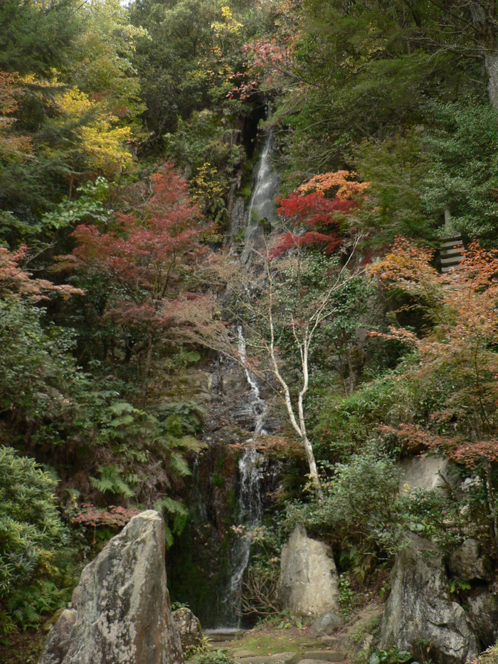 f0219710_8305494.jpg