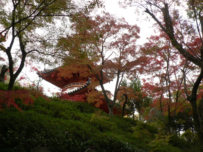 f0219710_8343923.jpg
