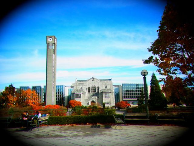 b0183911_21305782.jpg