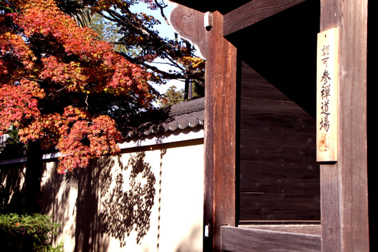 紅葉が盛り 鷹ヶ峰_e0048413_19393990.jpg